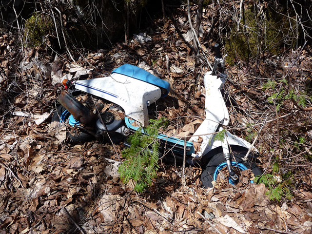 ����X�ѓS������������u��������{�J�����[�t���򋴗��v