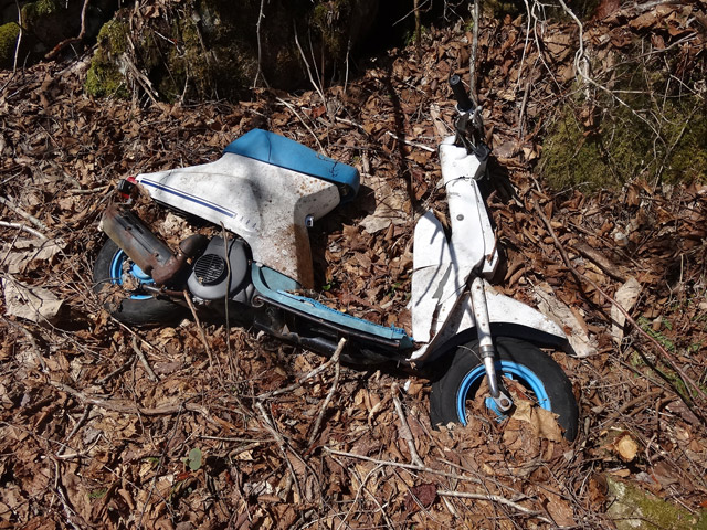 ����X�ѓS������������u��������{�J�����[�t���򋴗��v