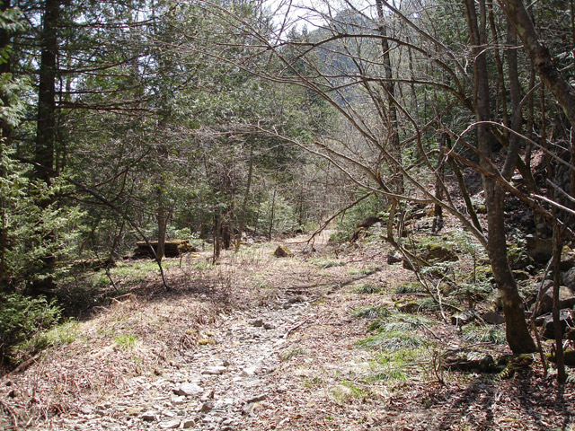 ��������ѓS,�X�ѓS��,�p����