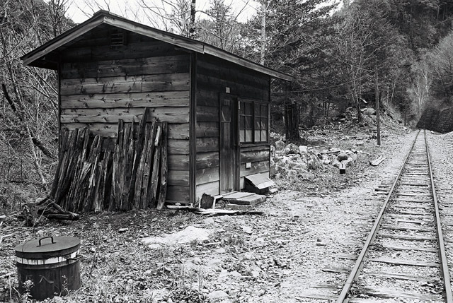 ����X�ѓS������������u��������{�J�����[�t���򋴗��v