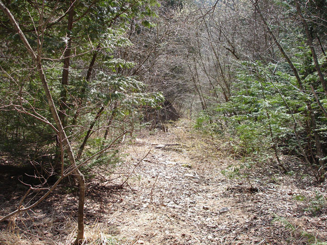 ����X�ѓS������������u��������{�J�����[�t���򋴗��v