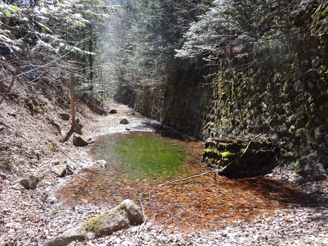 ����X�ѓS������������u��������{�J�����[�t���򋴗��v