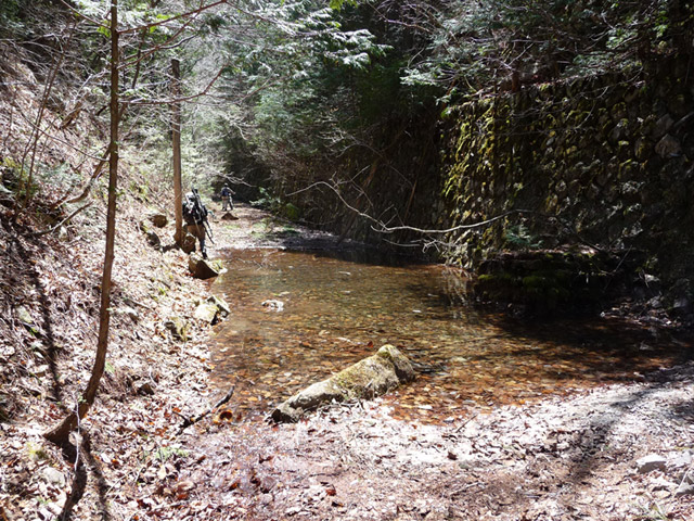 ����X�ѓS������������u��������{�J�����[�t���򋴗��v