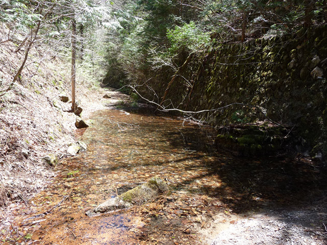 ����X�ѓS������������u��������{�J�����[�t���򋴗��v