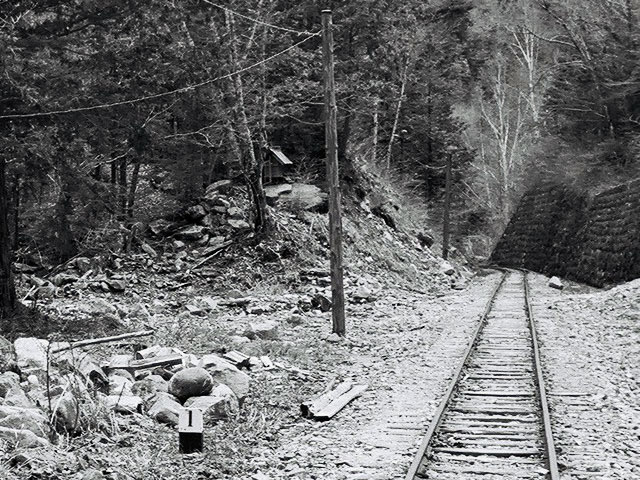 ����X�ѓS������������u��������{�J�����[�t���򋴗��v