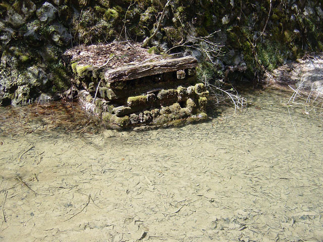 ����X�ѓS������������u��������{�J�����[�t���򋴗��v