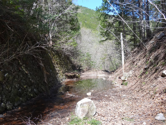 ����X�ѓS������������u��������{�J�����[�t���򋴗��v