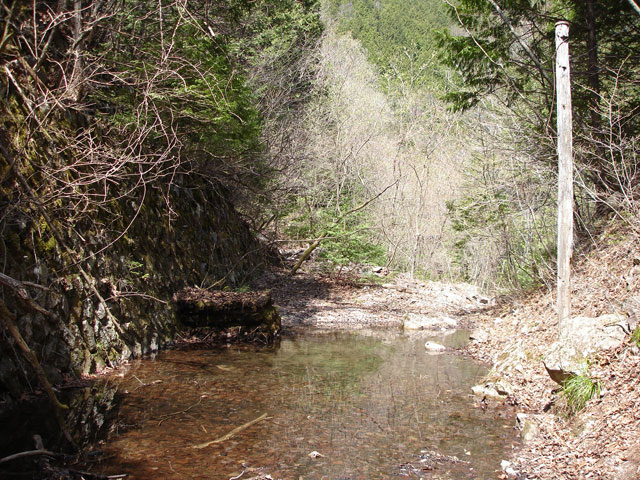 ����X�ѓS�����������,�ѓS,�p����,�ѓ�