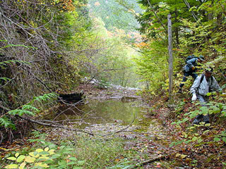 ����X�ѓS������������u��������{�J�����[�t���򋴗��v