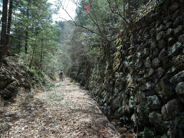 ��������X�ѓS��,�ѓS,�p����