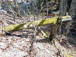 ����X�ѓS�����������,�t���򋴗�,��15������,�p����,�ѓS