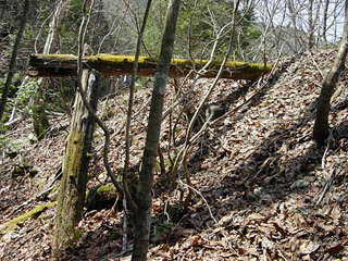 ����X�ѓS�����������,�t���򋴗�,��15������,�p����,�ѓS