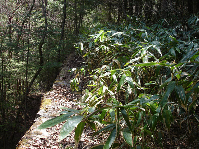 ��������X�ѓS��,�ѓS,�p����,�O����