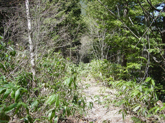 ����X�ѓS������������u�t���򋴗��[����v