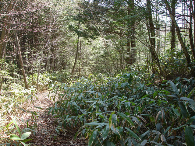 ��������X�ѓS��,����,�t���z,�ѓ�,�p����,�ѓS