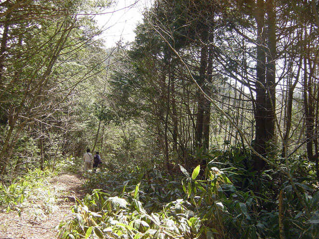 ��������X�ѓS��,����,�t���z,�ѓ�,�p����,�ѓS