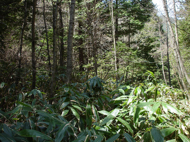 ��������X�ѓS��,����,�t���z,�ѓ�,�p����,�ѓS