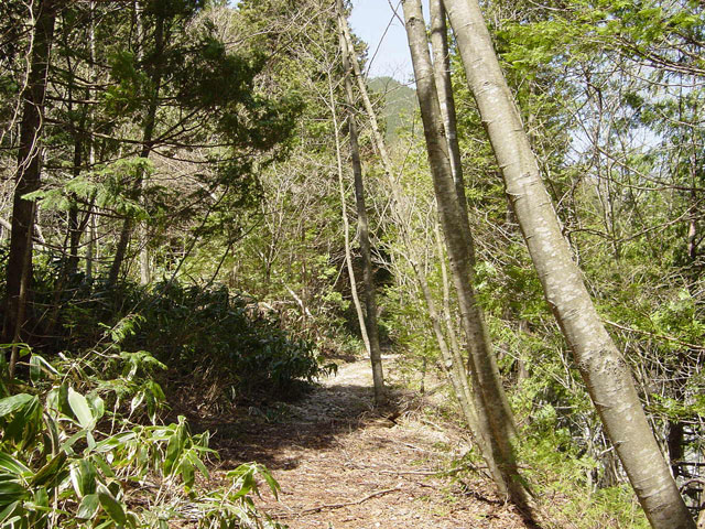 ��������X�ѓS��,����,�t���z,�ѓ�,�p����,�ѓS