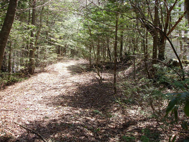 �X�ѓS��,��������ѓS,����,�t���z,�O����