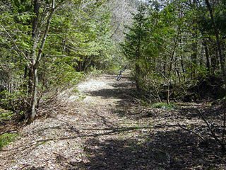 ����X�ѓS������������u����i�t���z�j�v