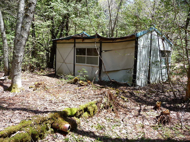 ����X�ѓS������������u�t���򋴗��[����v