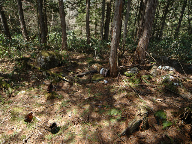 ����X�ѓS������������u����i�t���z�j�v