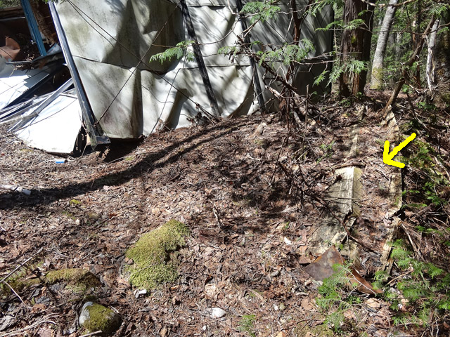 ����X�ѓS������������u�t���򋴗��[����v