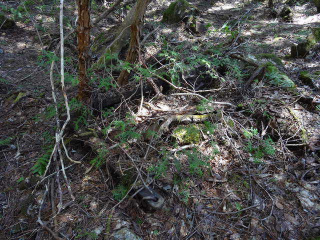 ����X�ѓS�����������,�ѓS,�p����,�^�ޑ��,�c�[,�e���v