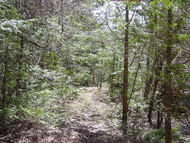 �ѓS��,��������X�ѓS��,�p��,�O����