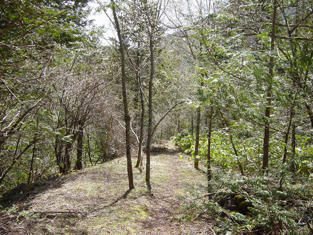 �ѓS��,��������X�ѓS��,�p��,�O����