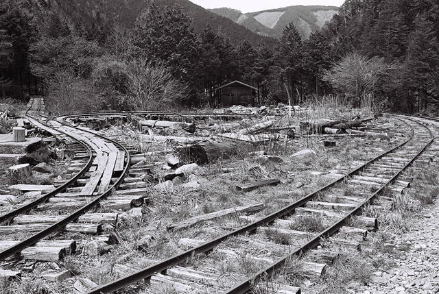 ����X�ѓS������������u����i�t���z�j�v