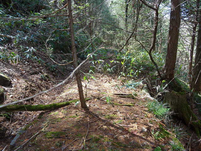 �ؑ]�X�ѓS�����������,�ѓS,�p����,�g���b�R�O����,����,�H��