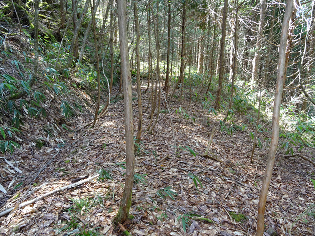 ��������X�ѓS��,�ѓS,�p����,�g���b�R�O����,�ؑ]�X,�ѓ�