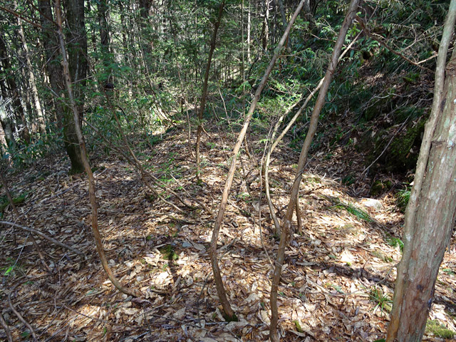 ��������X�ѓS��,�ѓS,�p����,�g���b�R�O����,�ؑ]�X,�ѓ�