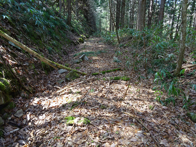 ��������X�ѓS��,�ѓS,�p����,�g���b�R�O����,�ؑ]�X,�ѓ�