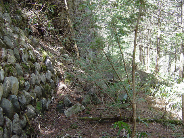 ��������X�ѓS��,�ѓS,�p����,�g���b�R�O����,�ؑ]�X,�Ί_