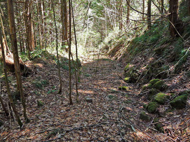 ��������X�ѓS��,�ѓS,�p����,�g���b�R�O����,�ؑ]�X,����