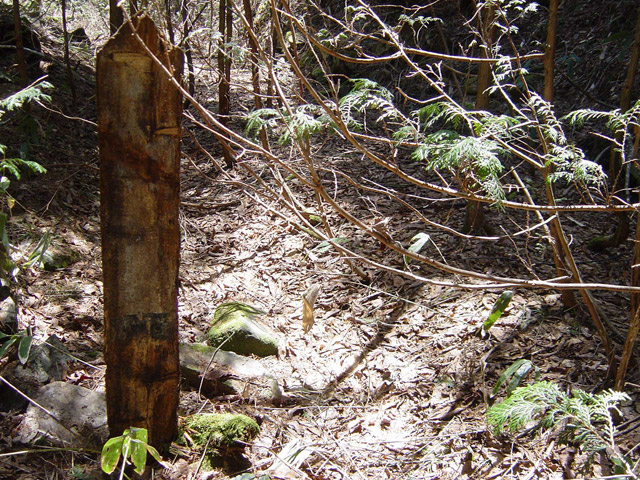 ��������X�ѓS��,�ѓS,�p����,�g���b�R�O����,�ؑ]�X,�W��