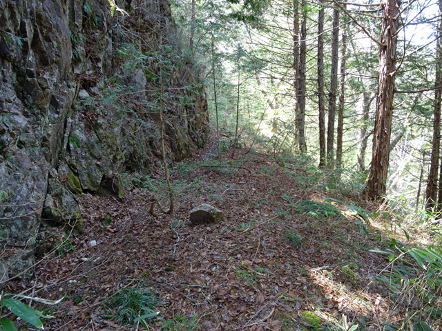 ��������X�ѓS��,�ѓS,�p����,�g���b�R�O����,�ؑ]�X,�ѓ�