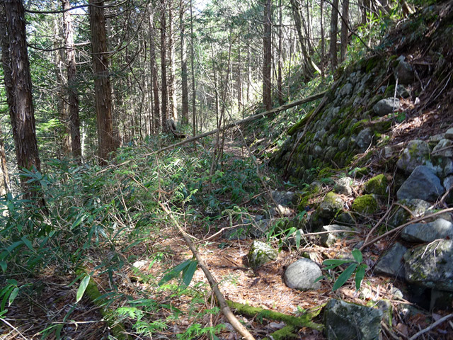 ��������X�ѓS��,�ѓS,�p����,�g���b�R�O����,�ؑ]�X,�H��