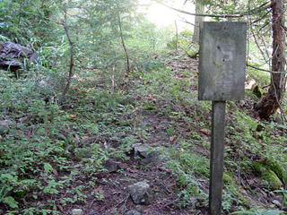 ��������X�ѓS��,�ѓS,�p����,�g���b�R�O����,�ؑ]�X,���Β��ӕW��