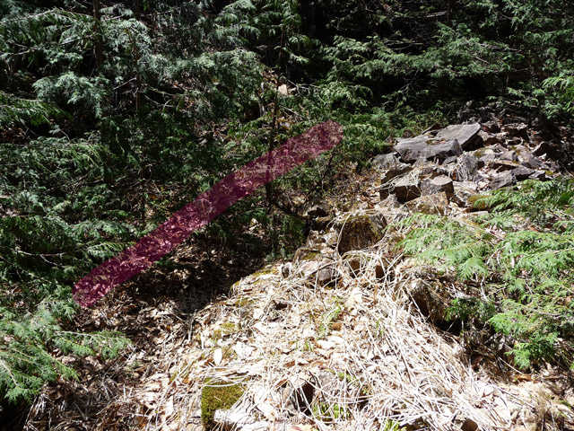 �ؑ]�X�ѓS�����������,�ѓS,�p����,�g���b�R�O����,�H��,�ѓ�