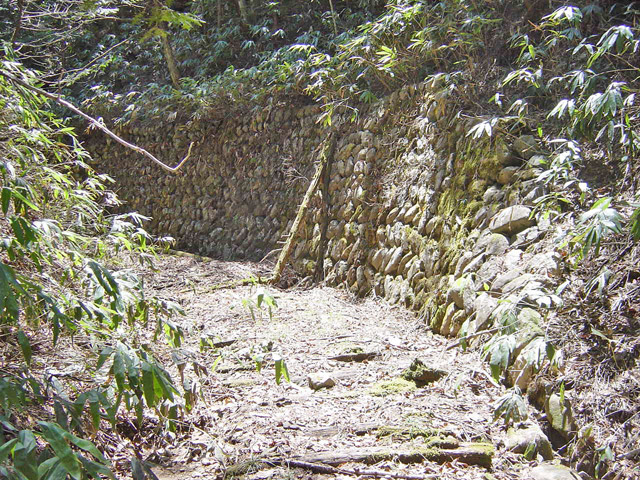 �ؑ]�X�ѓS�����������,�ѓS,�p����,�w�A�s���J�[�u,�Ί_,����c�я�