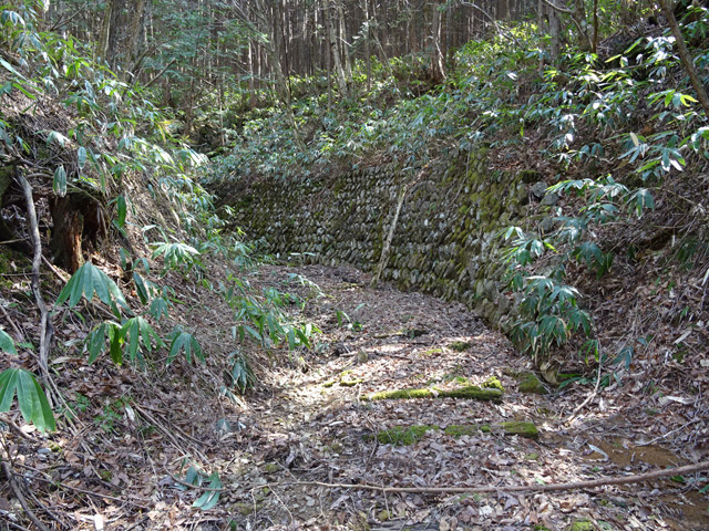 �ؑ]�X�ѓS�����������,�ѓS,�p����,�w�A�s���J�[�u,����,����c�я�