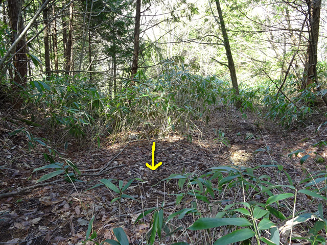 �ؑ]�X�ѓS�����������,�ѓS,�p����,�g���b�R�O��,����,����c�я�