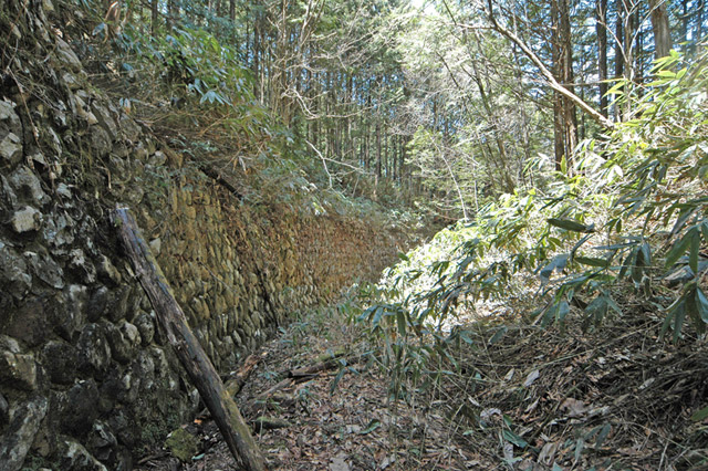 �ؑ]�X�ѓS�����������,�ѓS,�p����,�g���b�R�O��,���`,�x��