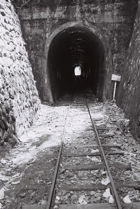 �ؑ]�X�ѓS�����������,�ѓS,���[��,詓�,�؍މ^���O��,�g���l��