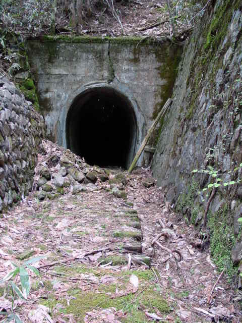 �ؑ]�X�ѓS�����������,�ѓS,�p����,詓�,�g���l��,�ѓ�