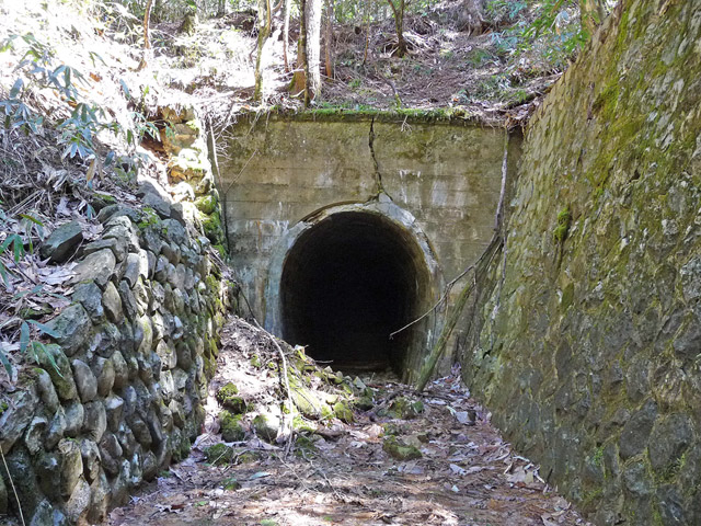 �ؑ]�X�ѓS�����������,�ѓS,�p����,��1��詓�,�g���l��,���ꑺ