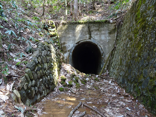 �ؑ]�X�ѓS�����������,�ѓS,�p����,��1��詓�,�g���l��,�؍މ^���O����